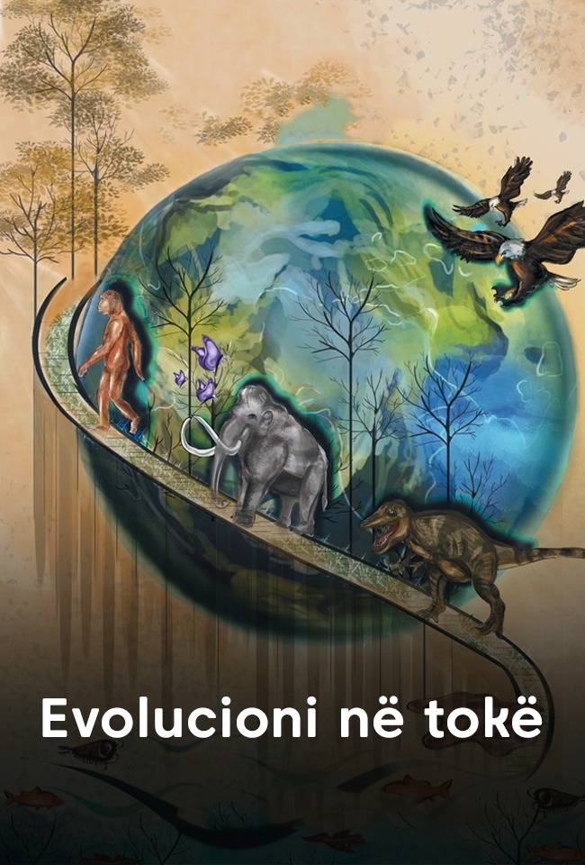 Evolucioni në tokë