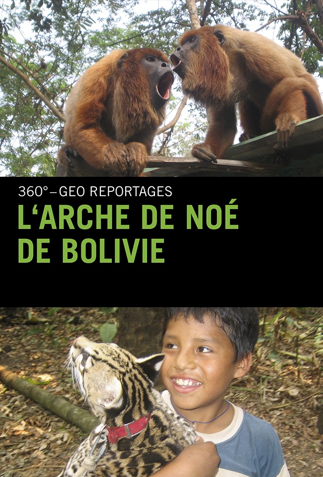 Arka e Noes Boliviane