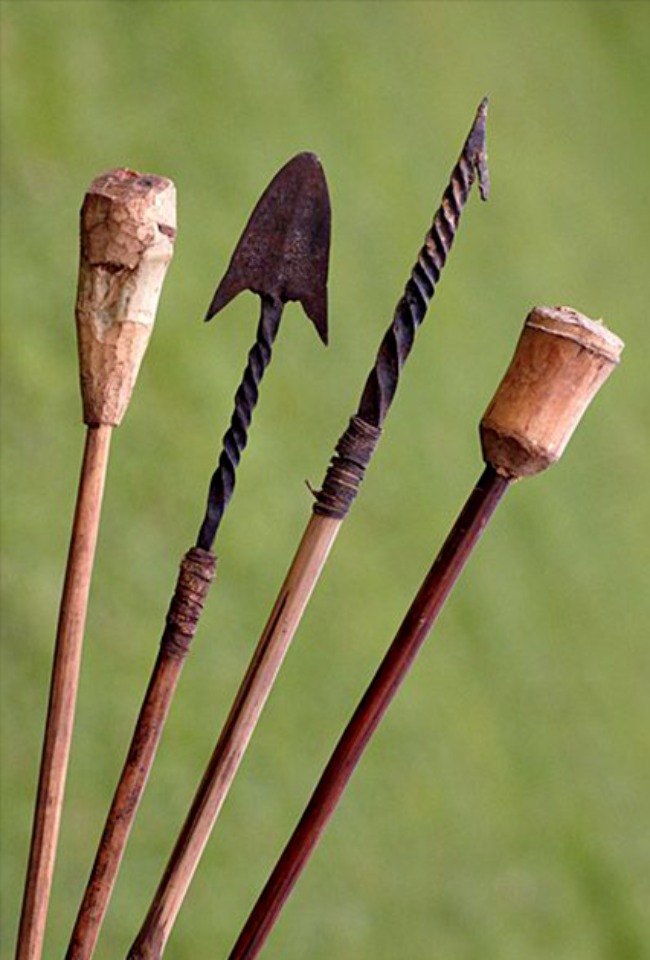 Teknologjia primitive