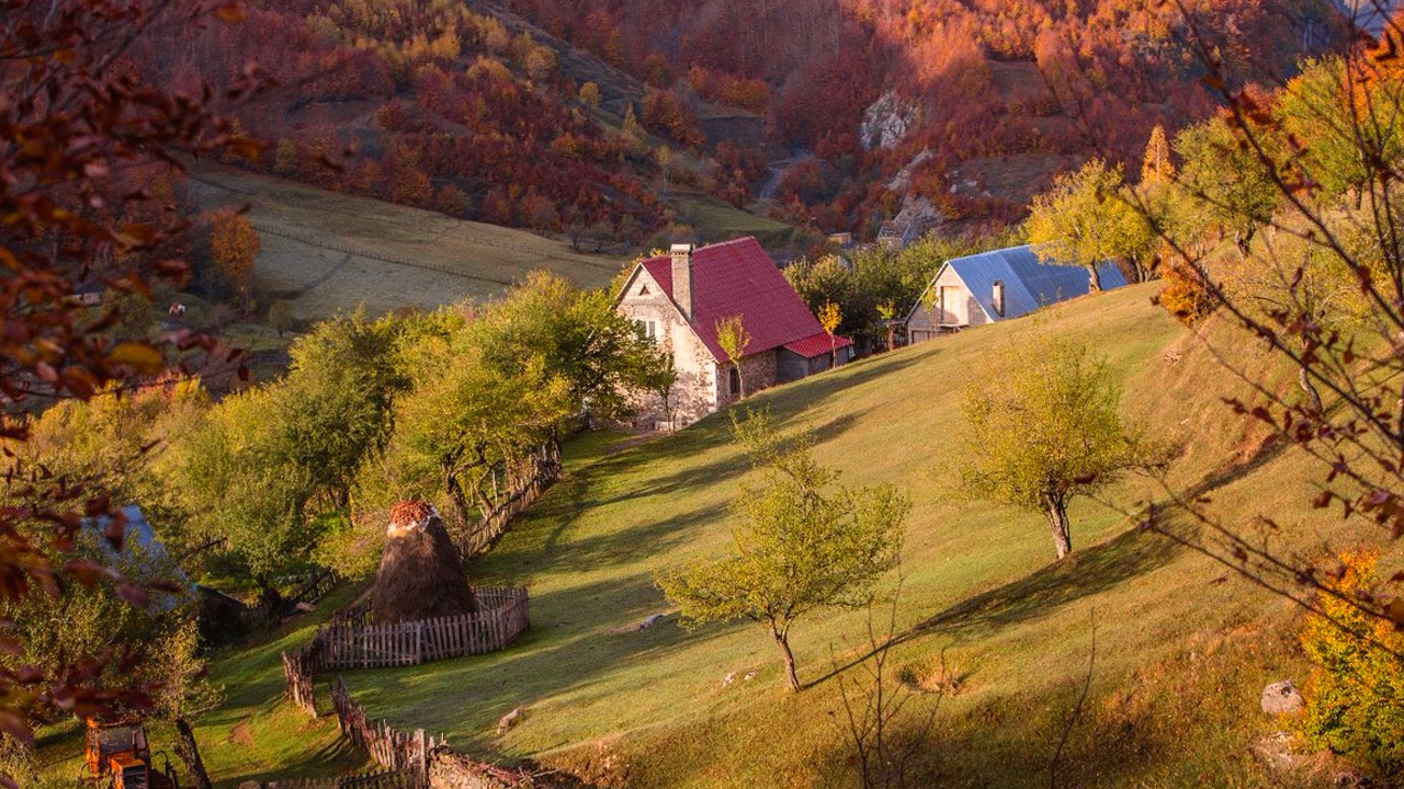 Penelata vjeshte në Lëpushë