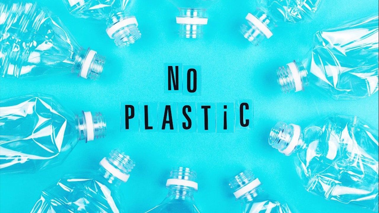 Arti kundër ndotjes plastike