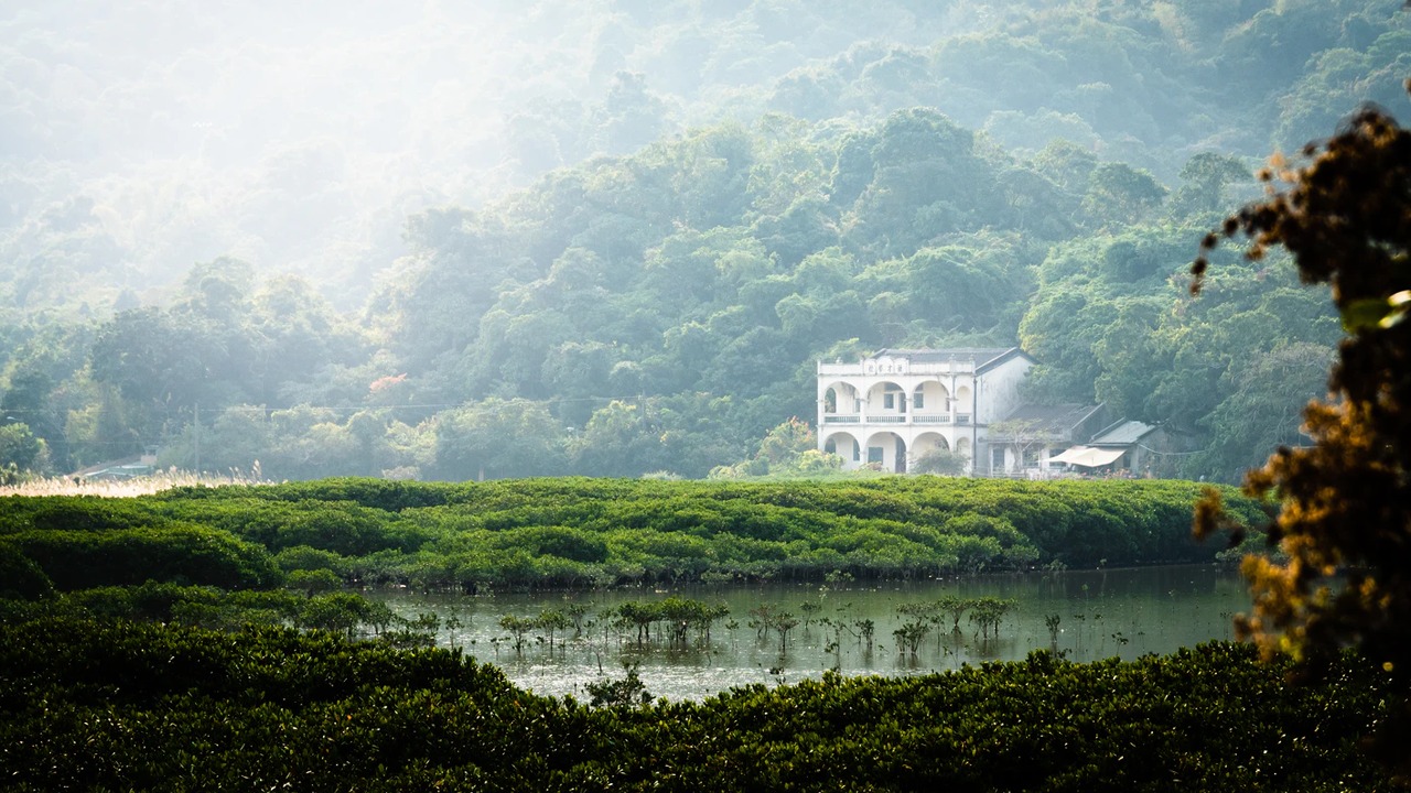 Kenia, Turqia, Hong-Kong