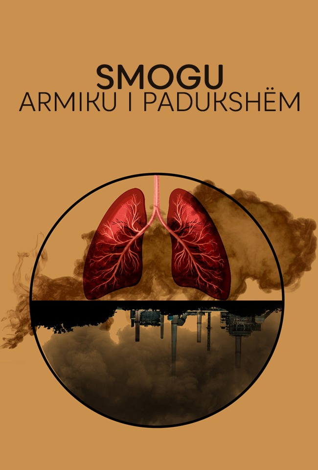 Smogu, armiku i padukshëm