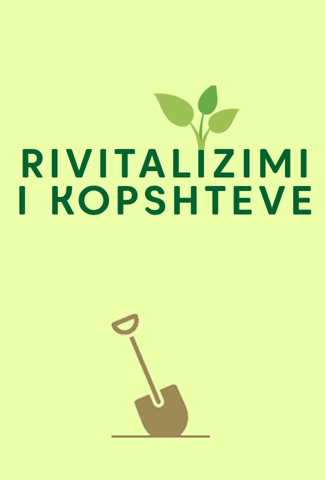 Rivitalizimi i kopshteve