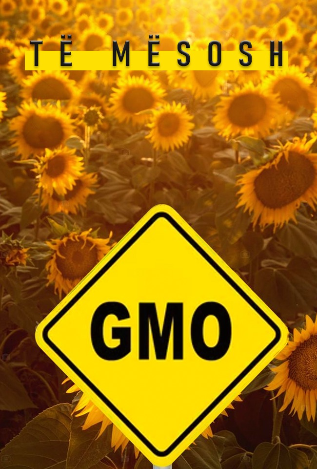 Të mësosh GMO