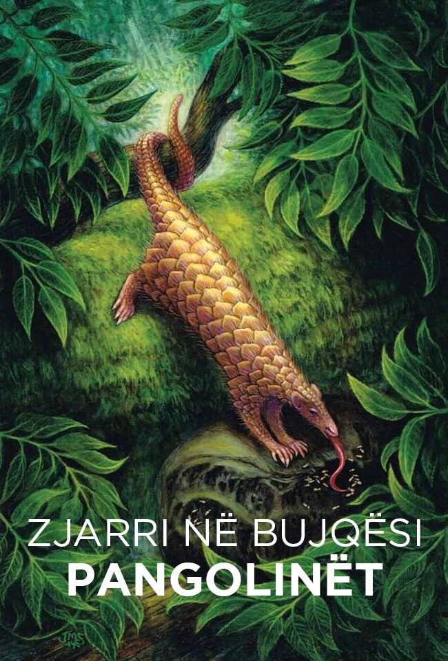 Zjarri në bujqësi-Pangolinët