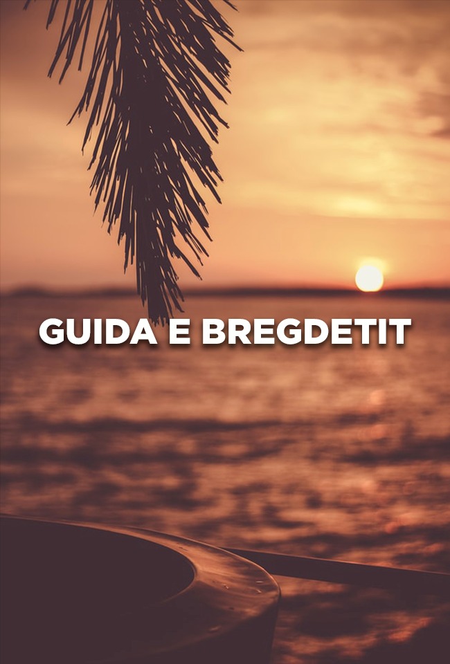 Guida 3