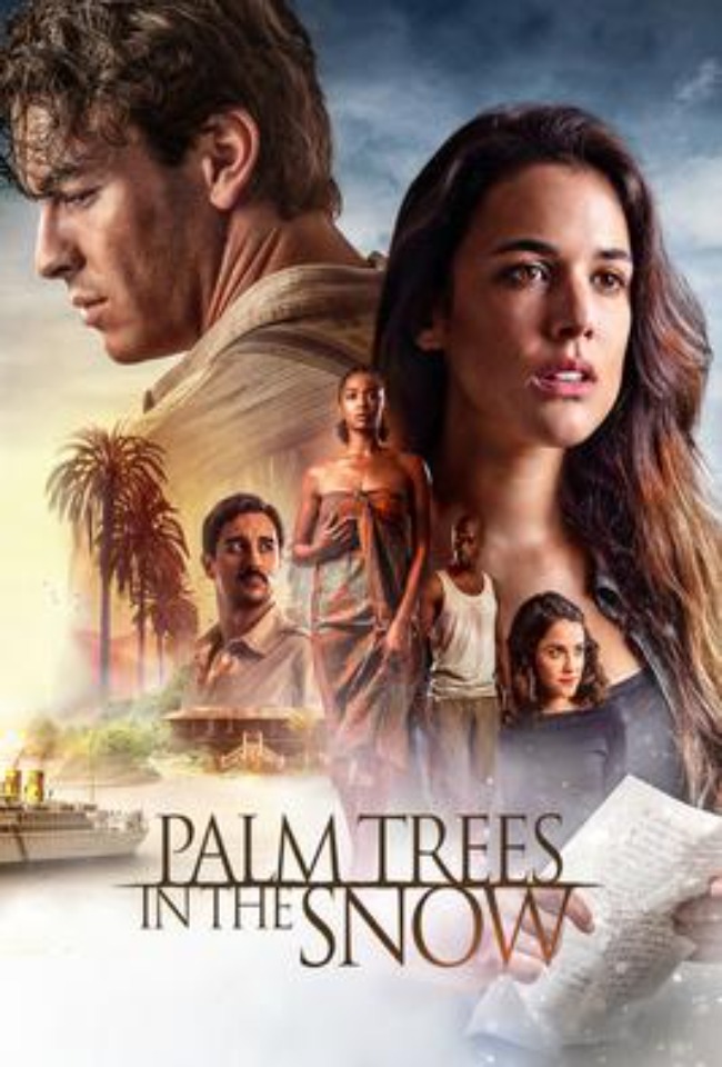 Palma në dëborë