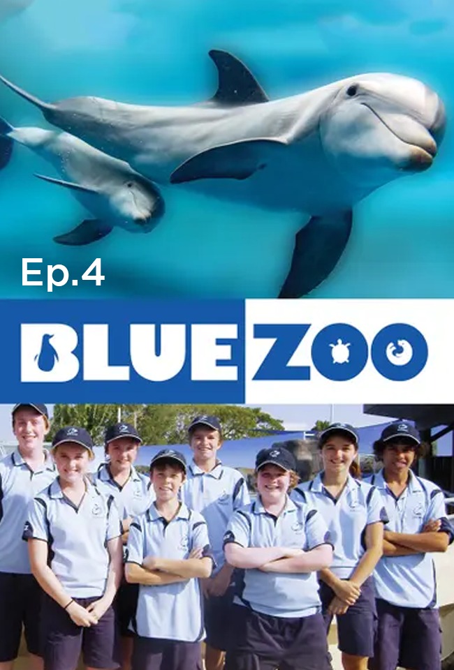 Kopshti zoologjik detar