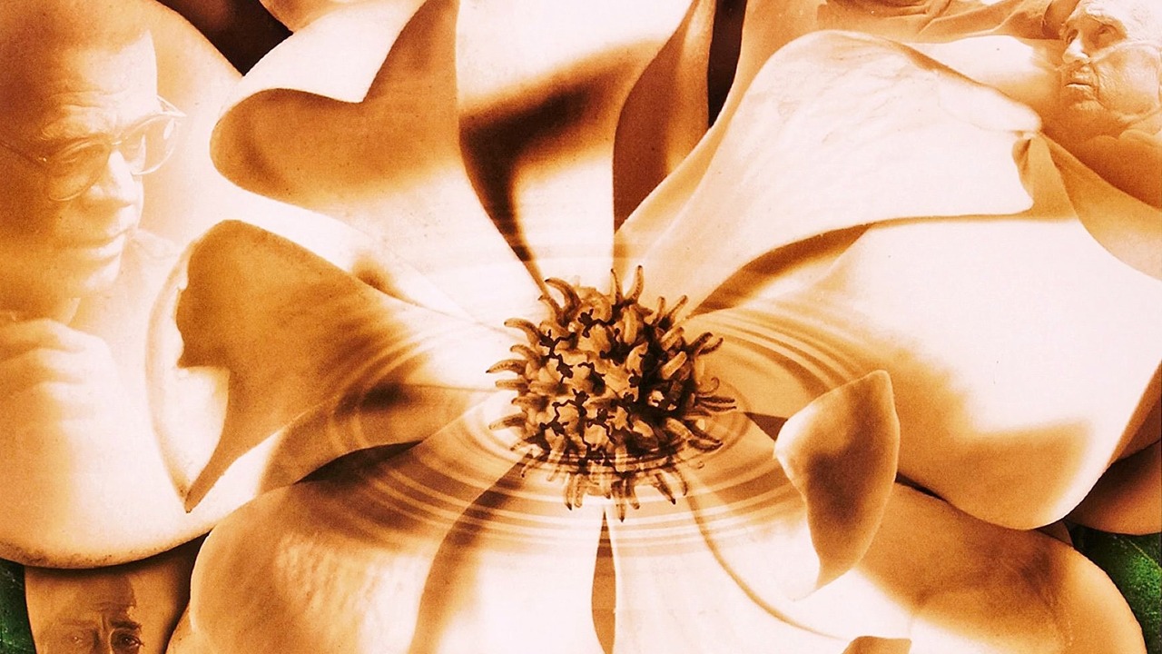 Magnolia