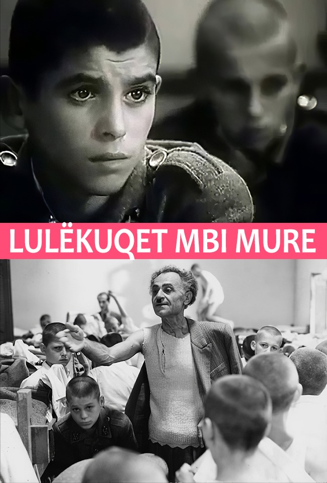 LULËKUQET MBI MURE