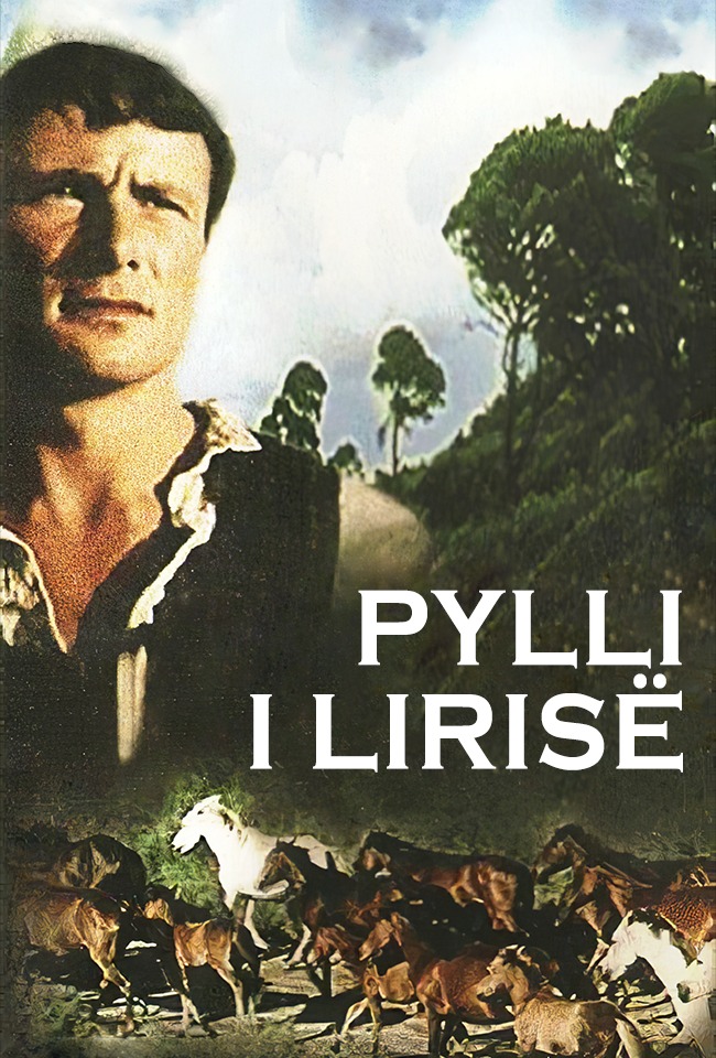 PYLLI I LIRISË